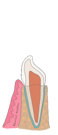 Teeth Dentist Sticker