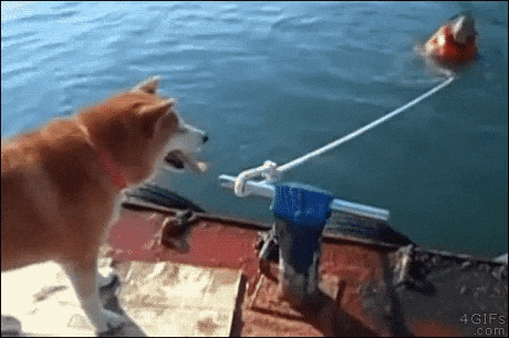 man drowning GIF