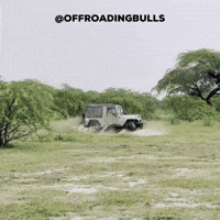 India Monster GIF