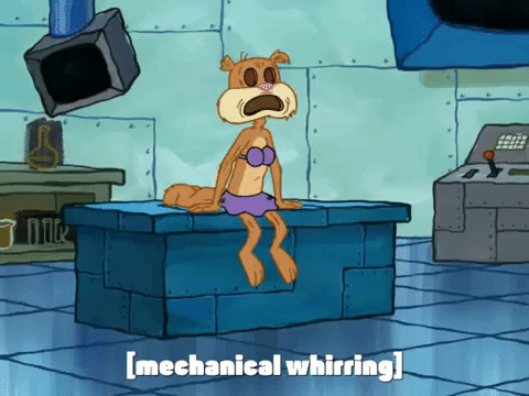 season 7 episode 3 GIF by SpongeBob SquarePants