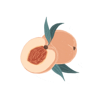 Illustration Colors Sticker