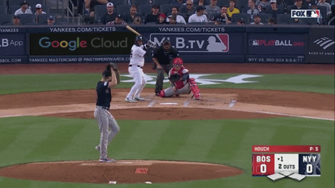 tesstass giphyupload GIF