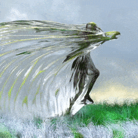 Animation Soul GIF by Loxel Li