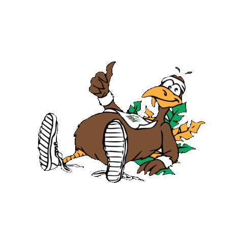Festival Foods Turkey Trot Sticker by Festival Foods