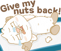 Ball Bunny GIF by EVANS艾特兔