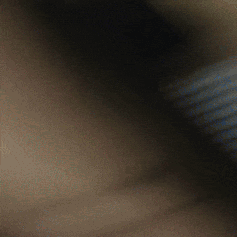 Timothee Chalamet Tchalamet GIF by Respective