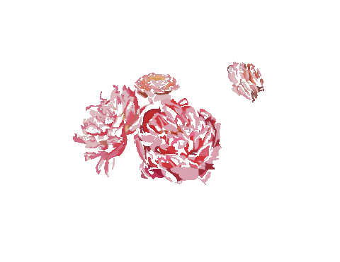 thejunipertreeco flowers aesthetic pretty floral Sticker