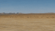 Soular GIF by Kyle Dion