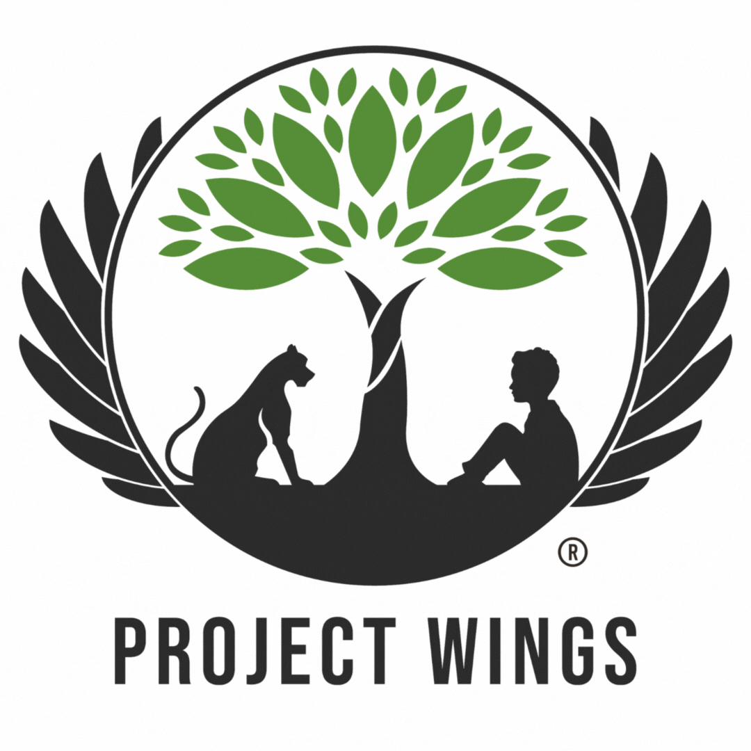 projectwings giphyupload project wings projectwings project wings logo GIF