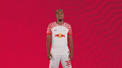 Oh Yeah Win GIF by RB Leipzig