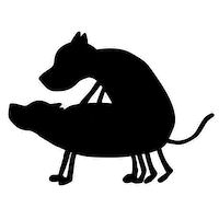 David Broncano Perros Sticker by Movistar+