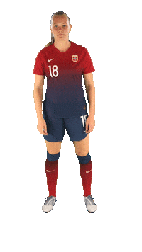 2019 Fifa Wwc Football Sticker by FIFA