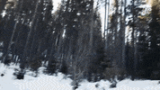 greatbigstory sport travel lets go ski GIF