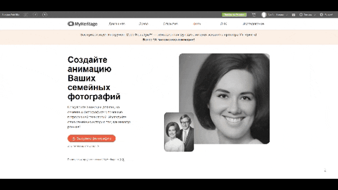 sorbon giphyupload GIF