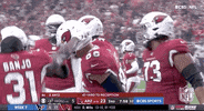Arizona Cardinals Football GIF by NFL