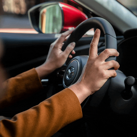 dustuncan giphyupload GIF