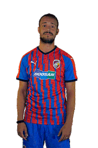 Pernica Sticker by FCVP