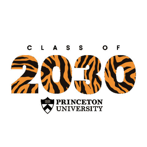 Princeton 2030 Sticker by Princeton University