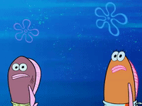 season 6 GIF by SpongeBob SquarePants