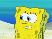 season 6 GIF by SpongeBob SquarePants