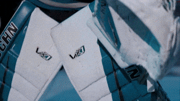 Shut Out San Jose GIF by San Jose Barracuda