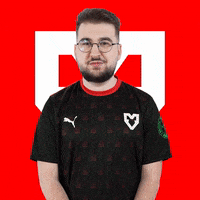 Counter Strike Win GIF by mousesports