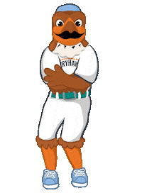 ferryhawks griddy hypesquad frankie the ferryhawk staten island ferryhawks Sticker