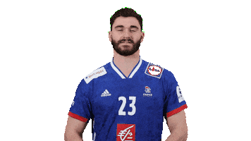 France Hand Sticker by EHF