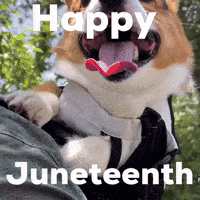 Happy Dog GIF