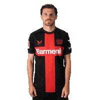 Bayer 04 Love Sticker by Bayer 04 Leverkusen