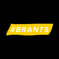 startwithrex marketing brand branding brands GIF
