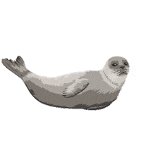 Beach Sea Sticker by VVV Texel