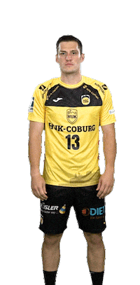 Sport Handball Sticker by HSC 2000 Coburg