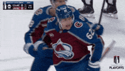 Celebrate Stanley Cup Playoffs GIF by NHL
