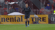nick deleon soccer GIF by Toronto FC