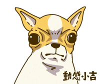 Animation Dog GIF