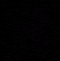 Calavera Kraken GIF by Calamartdesigns
