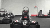 Puerto Rico Racing GIF