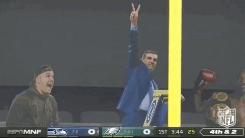 National Football League GIF by NFL