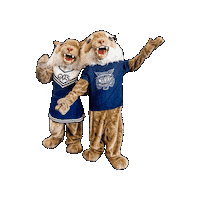 DallastownAreaSchoolDistrict dasd wildcat dtown wildcatnation Sticker