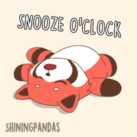 Sleepy Red Panda GIF