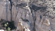 new mexico GIF
