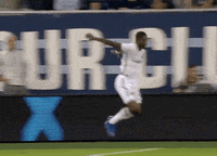 Celebrate Lets Go GIF by Major League Soccer