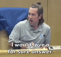 For Sure Answer GIF by Get The Coast