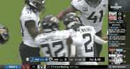 Jacksonville Jaguars Football GIF by NFL