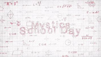 Wnba GIF by Washington Mystics