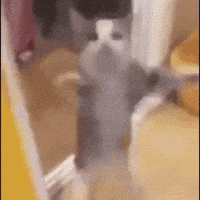 Happy Happy Happy Applause GIF