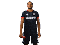 Dropping Bayer 04 Sticker by Bayer 04 Leverkusen