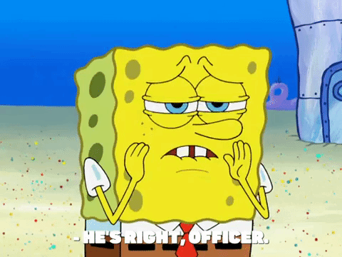 season 8 episode 6 GIF by SpongeBob SquarePants
