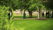 graduation commencement GIF by Washington University in St. Louis